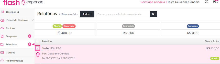 imagem da plataforma ao botão de selecionar relatório