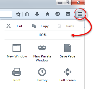 Zoom in IE Firefox