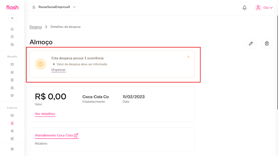 imagem exemplo de ocorrência via web em despesa