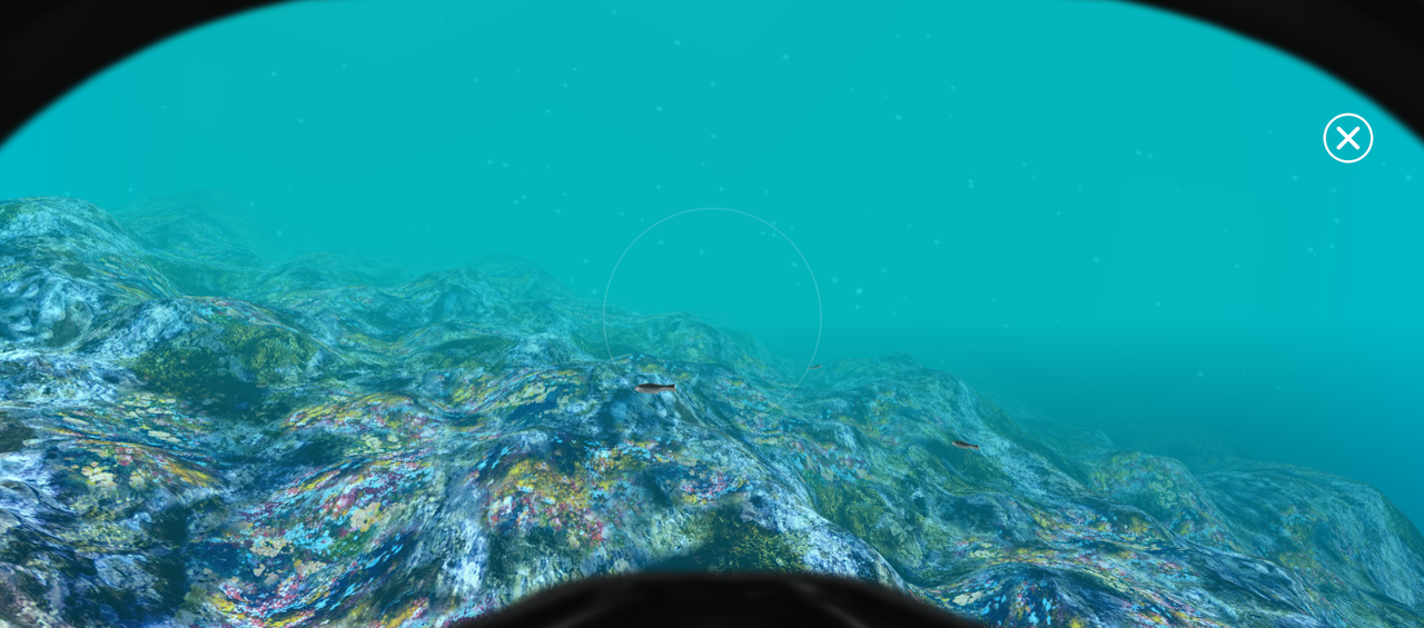 The diver’s underwater perspective showing the seafloor. - click to enlarge The diver’s underwater perspective showing the seafloor.