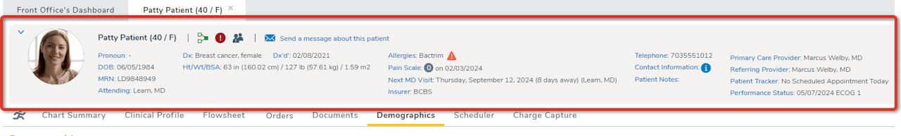 The expanded Patient Banner in a chart is highlighted - click to enlarge The expanded Patient Banner in a chart is highlighted