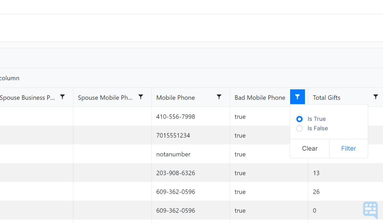 REPORT COLUMN FOR BAD MOBILE NUMBER SHOWING FILTER TURNED ON FOR IS TRUE - click to enlarge REPORT COLUMN FOR BAD MOBILE NUMBER SHOWING FILTER TURNED ON FOR IS TRUE