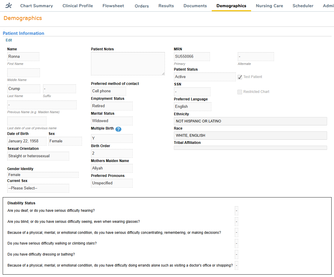 The Patient Information section under Demographics - click to enlarge The Patient Information section under Demographics